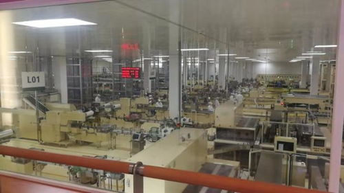 保民生 保市場 哈爾濱新區平房片區20余家民生類工廠陸續恢復生產